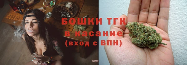тгк Нея