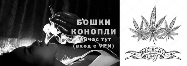 тгк Нея