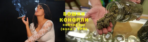 тгк Нея