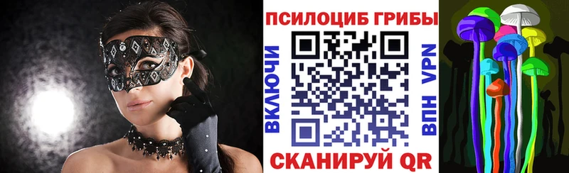 МЕГА tor купить наркотики сайты мориарти официальный сайт Галлюциногенные грибы GOLDEN TEACHER Ярославль