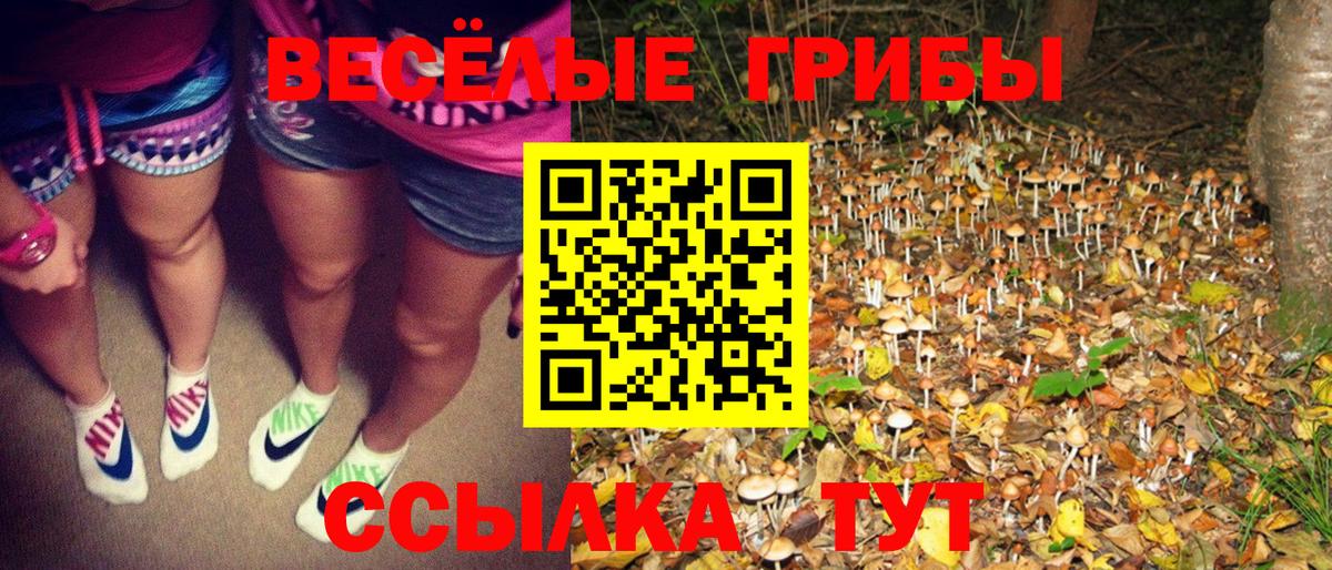 Галлюциногенные грибы мицелий  Ярославль  Псилоцибиновые грибы Psilocybine cubensis 