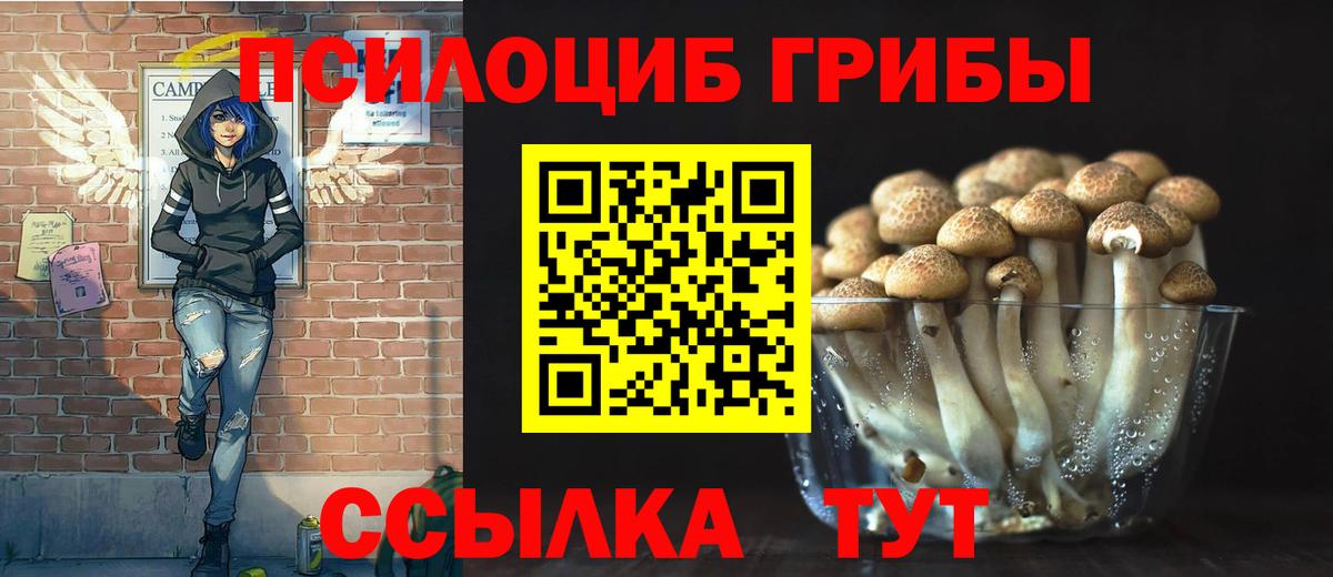 Псилоцибиновые грибы ЛСД Ярославль
